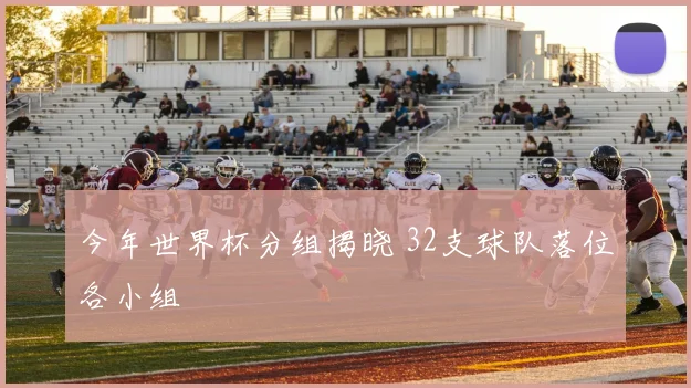 今年世界杯分组揭晓 32支球队落位各小组